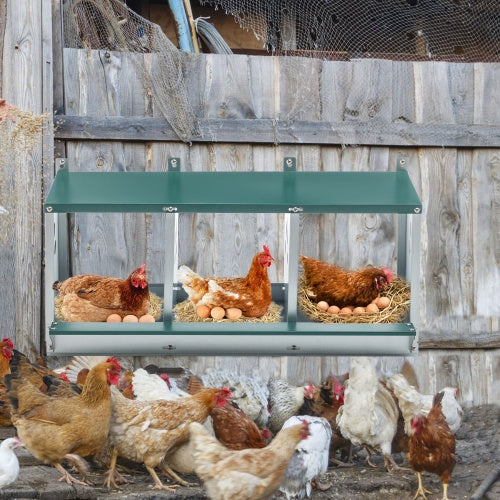 Discover the Benefits of Our Metal Nesting Boxes for Chickens